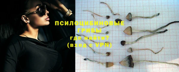 гашик Абаза