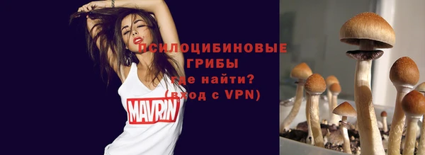 ПСИЛОЦИБИНОВЫЕ ГРИБЫ Абдулино