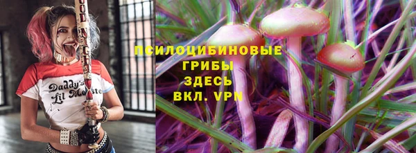 гашик Абаза