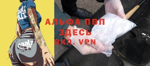 гашик Абаза