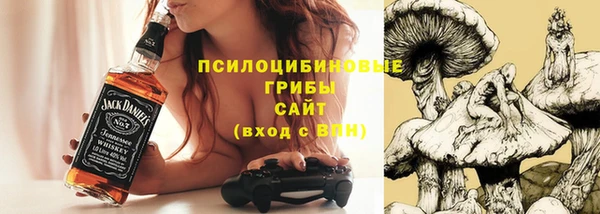 гашик Абаза